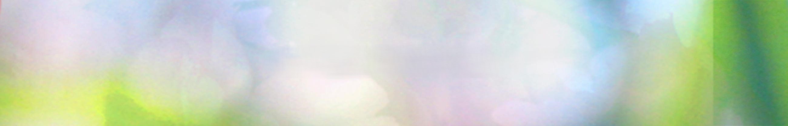 Frühjahr/Sommer ’25